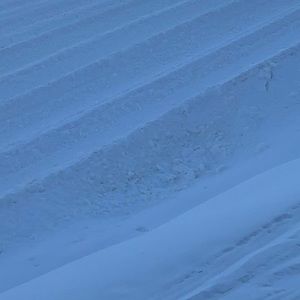 Meet your Posher, Amira